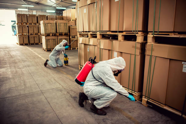 Best Pest Removal Services  in Laguna Heights, TX