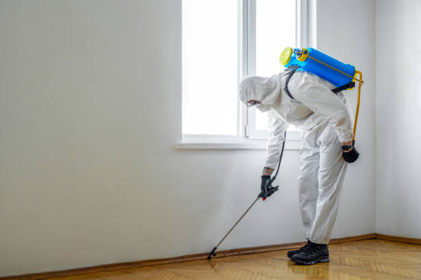 Pest Prevention Services in Laguna Heights, TX