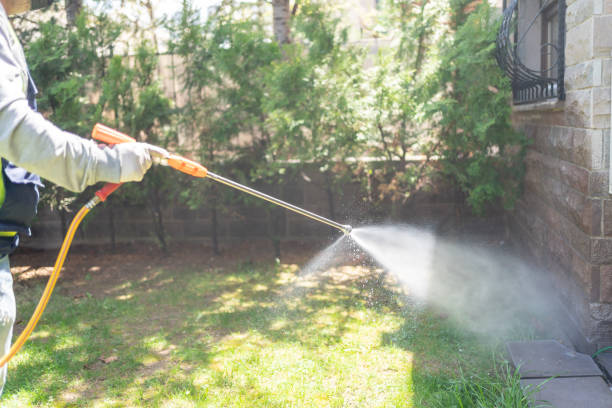Best Local Pest Control Services  in Laguna Heights, TX