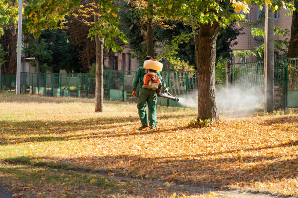 Best Flea Control Services  in Laguna Heights, TX