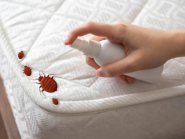 Best Affordable Pest Control Services  in Laguna Heights, TX