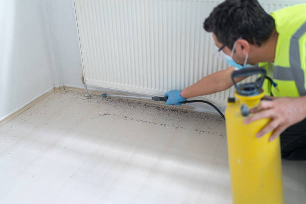 Best Mosquito Control Services  in Laguna Heights, TX